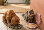 Dog and cat lick mat 2-pack with treats, calming slow feeder for bath time and meals