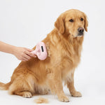 Golden retriever being groomed with Petlura self-cleaning deshedding brush, pink pet hair remover