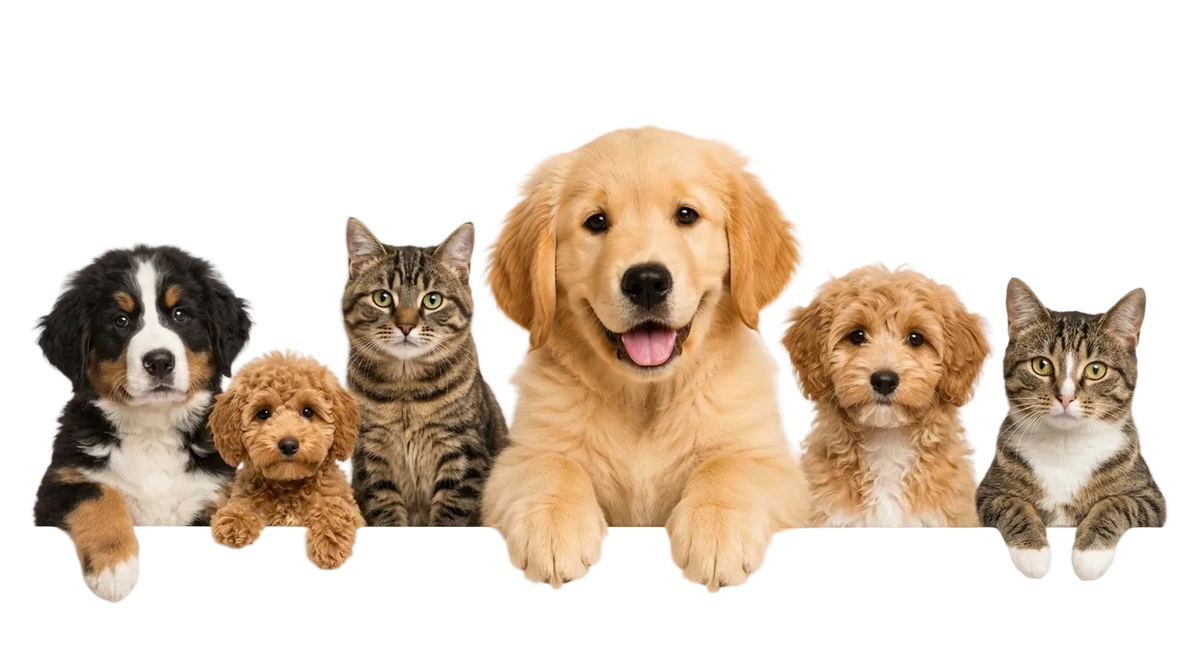 The Only Store Your Dog & Cat Will Ever Need